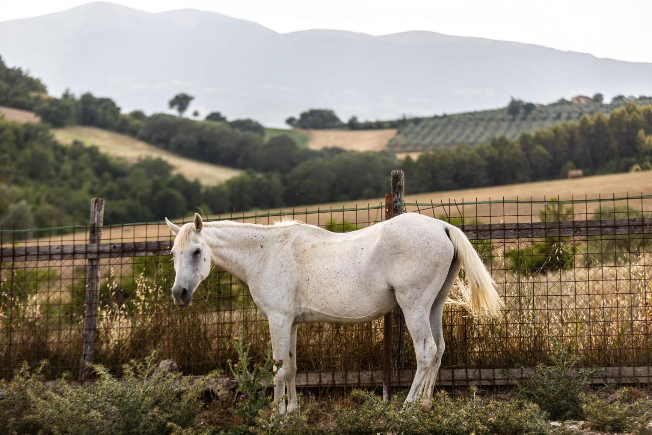 Agriturismo Agrileisuretime Сполето Екстериор снимка