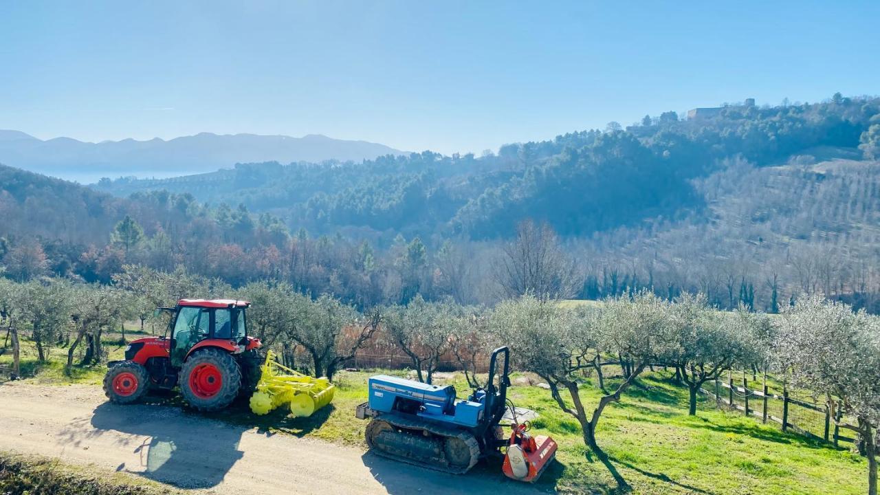 Agriturismo Agrileisuretime Сполето Екстериор снимка