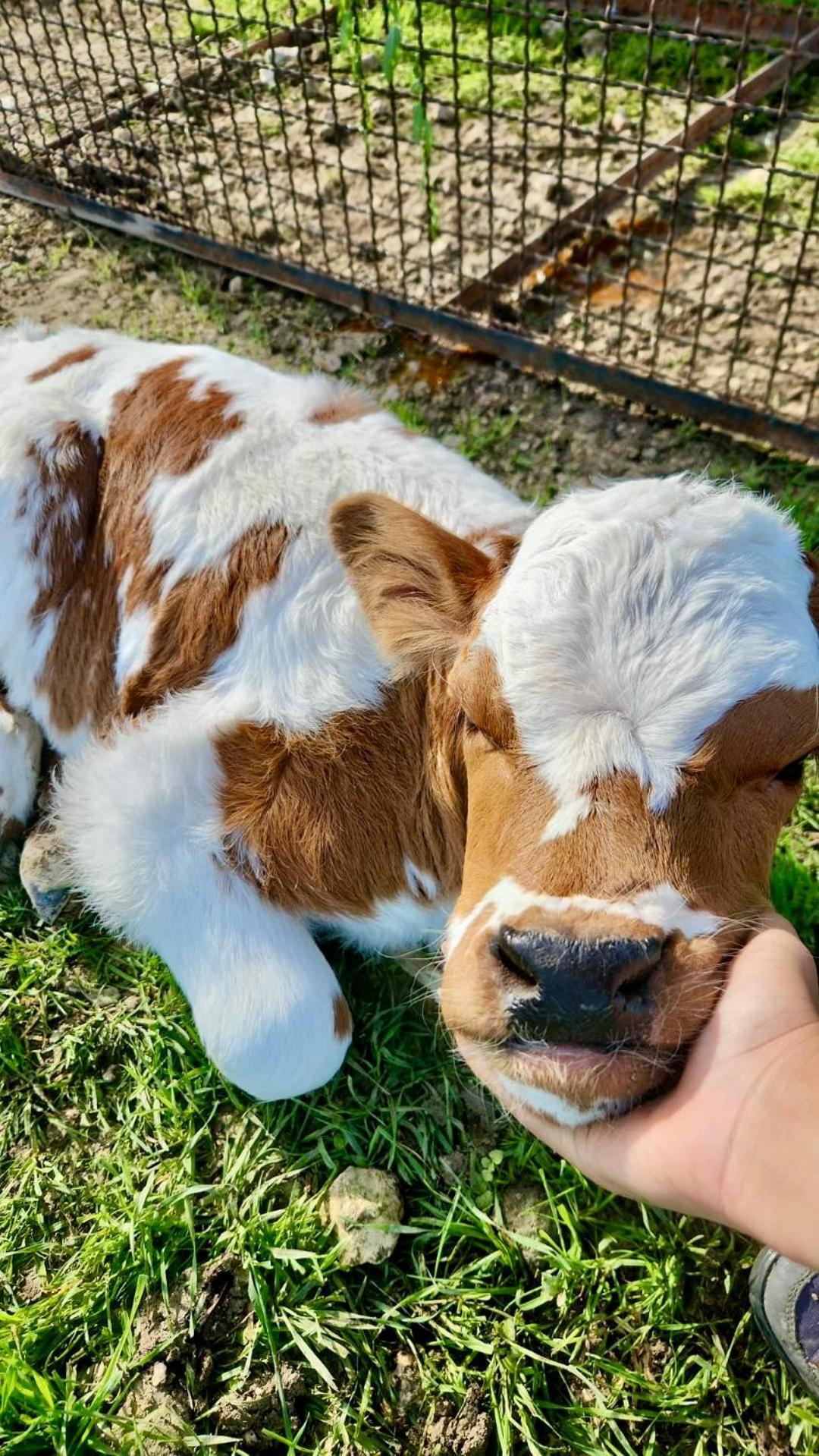 Agriturismo Agrileisuretime Сполето Екстериор снимка