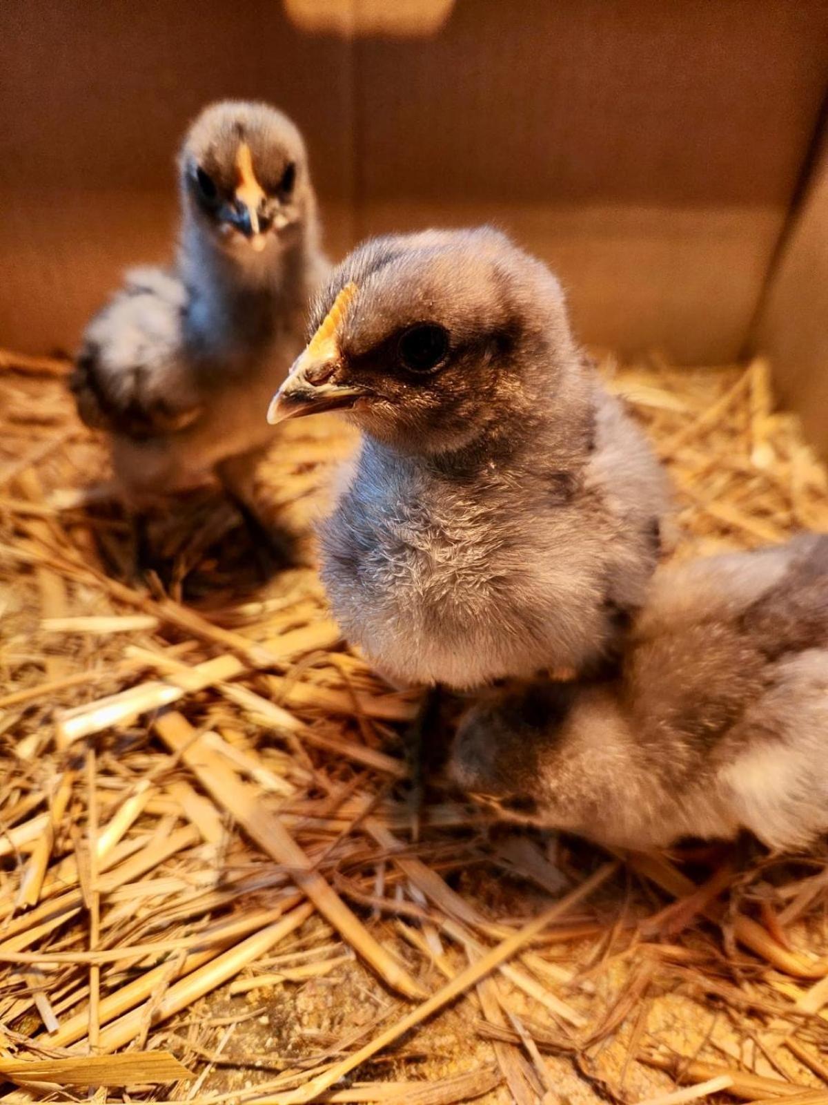 Agriturismo Agrileisuretime Сполето Екстериор снимка